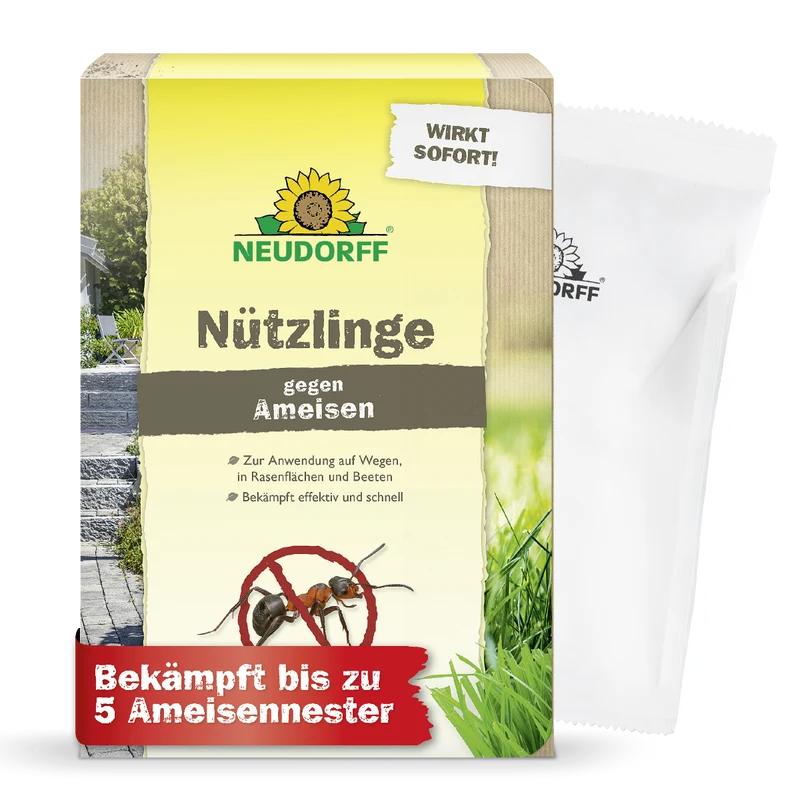Nützlinge gegen Ameisen