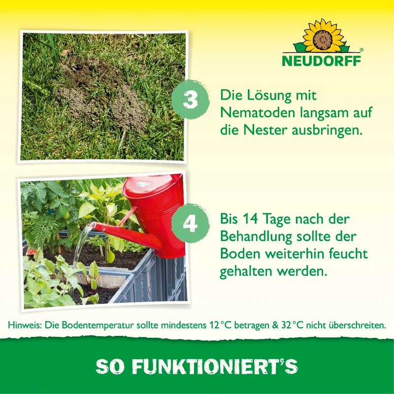 Nützlinge gegen Ameisen