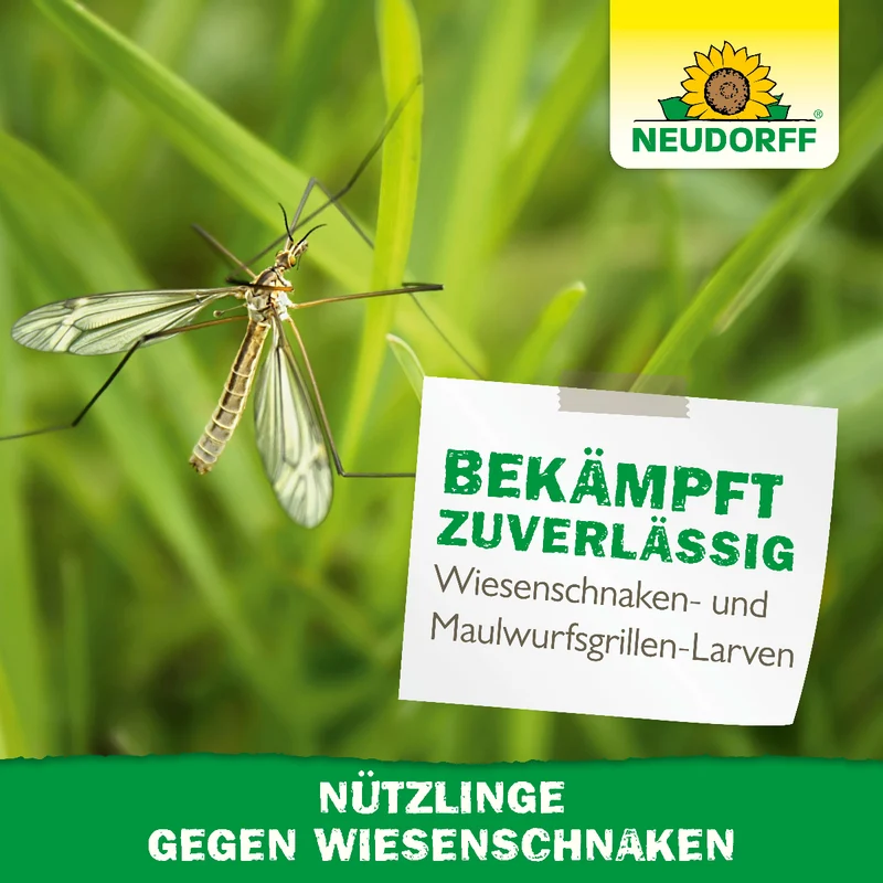 Nützlinge gegen Wiesenschnaken