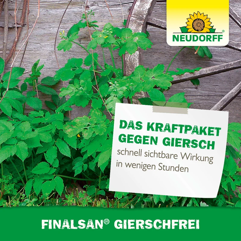 Finalsan GierschFrei