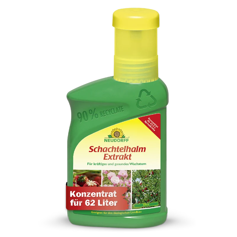 Schachtelhalm Extrakt