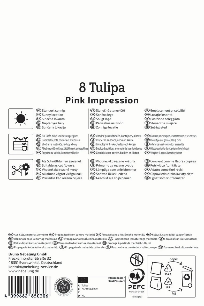 Darwin-Hybrid-Tulpe Pink Impression