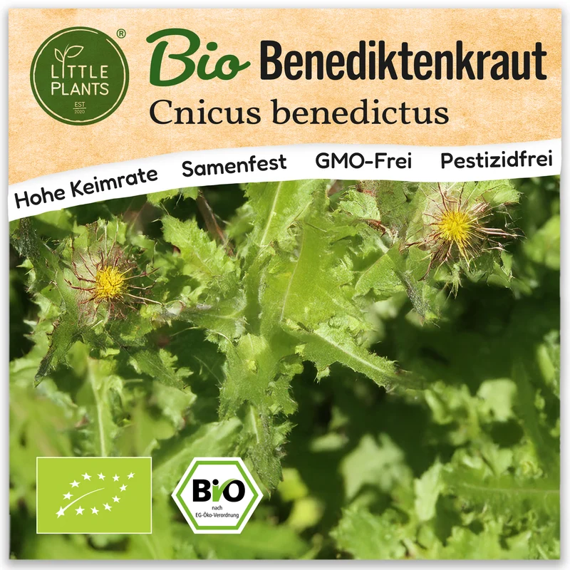 Bio-Benediktenkraut