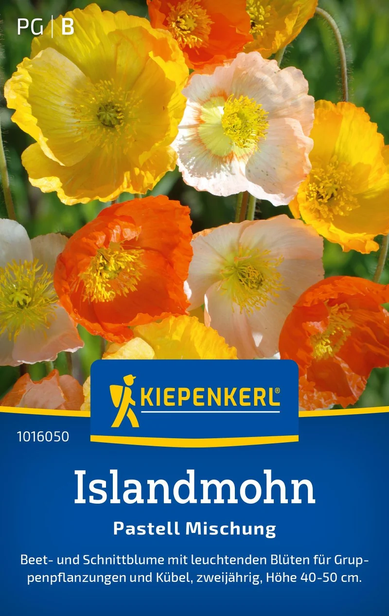 Islandmohnsamen Pastell Mischung