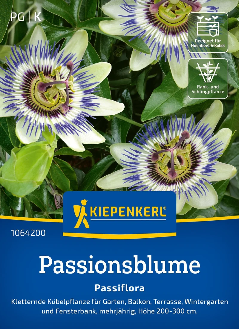 Passionsblumensamen Passiflora