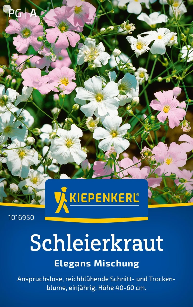 Schleierkrautsamen Elegans Mischung