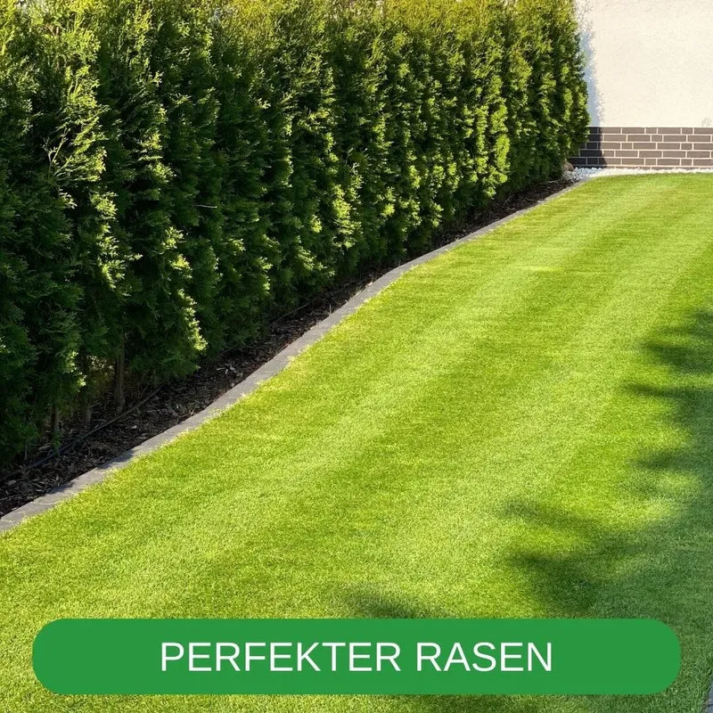 RISISANI Premium Rasenrakel XXL-160 in Edelstahl