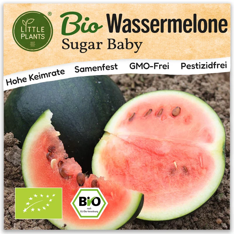 Bio-Wassermelone (Sugar Baby)
