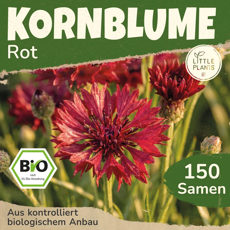 Bio-Kornblume (Rot)
