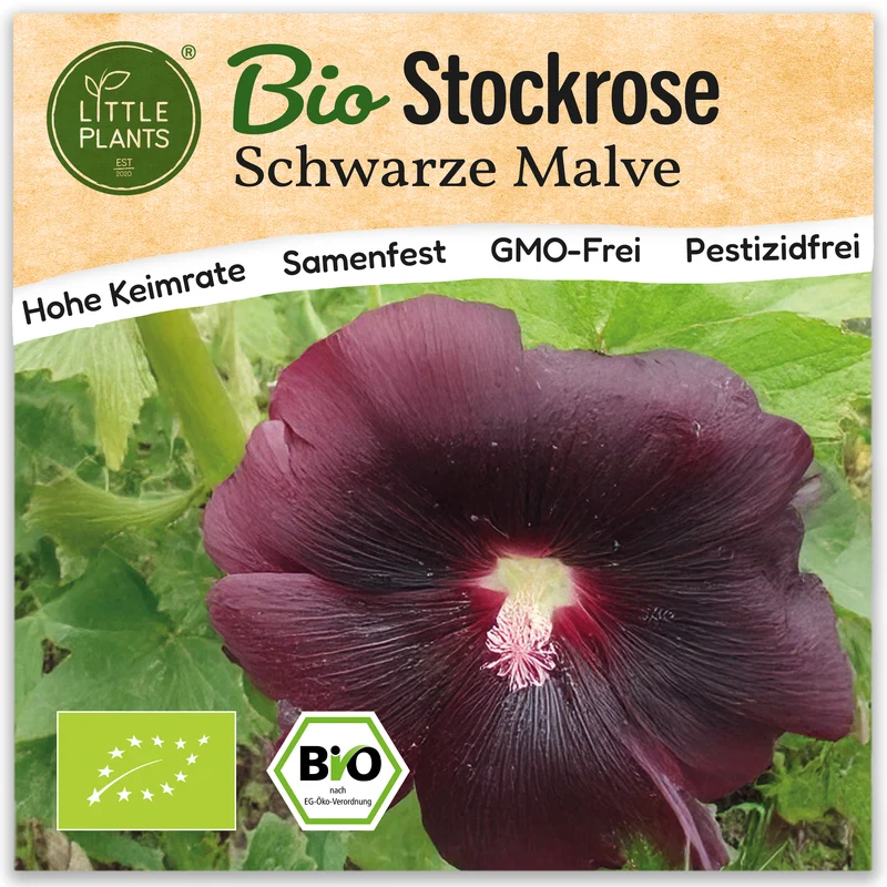 Bio-Rose (Erfurter)