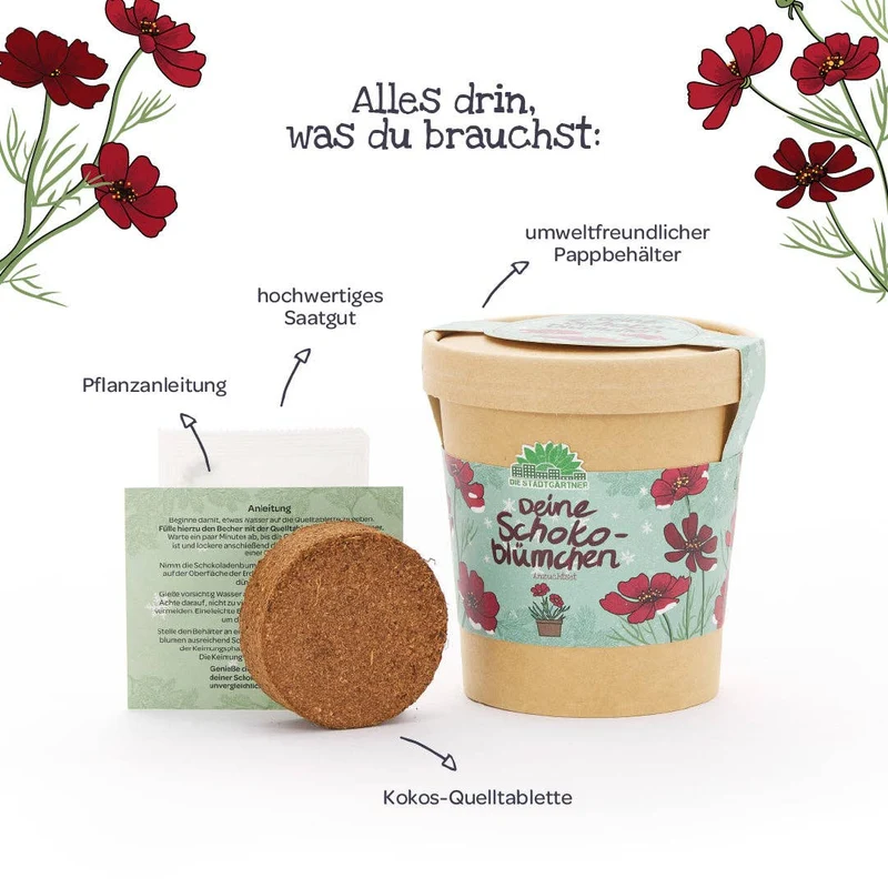 Anzuchtset | Schokoblumen aus dem Becher