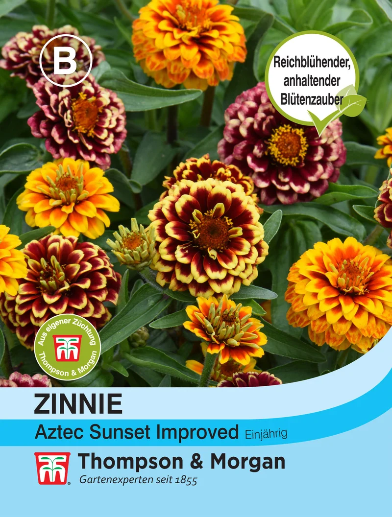 Thompson & Morgan | Zinnie Aztec Sunset Improved
