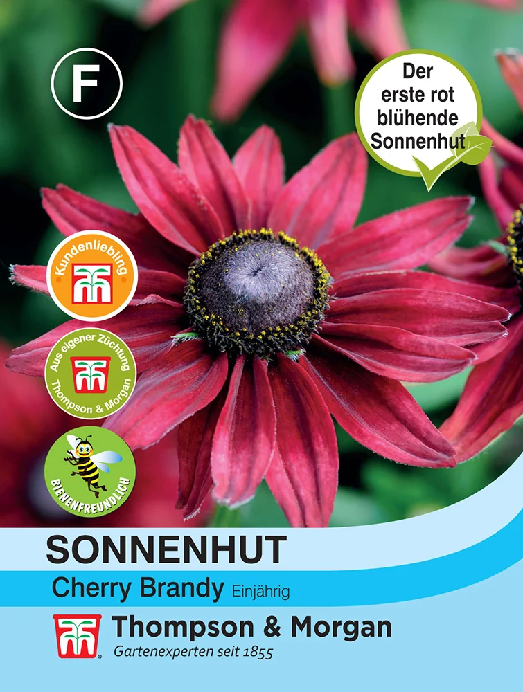Sonnenhut Cherry Brandy