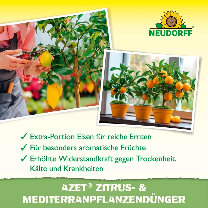 Azet Zitrus- & MediterranpflanzenDünger flüssig