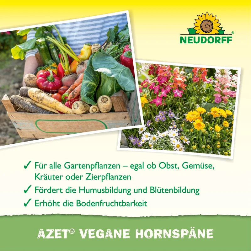 Azet Vegane Hornspäne