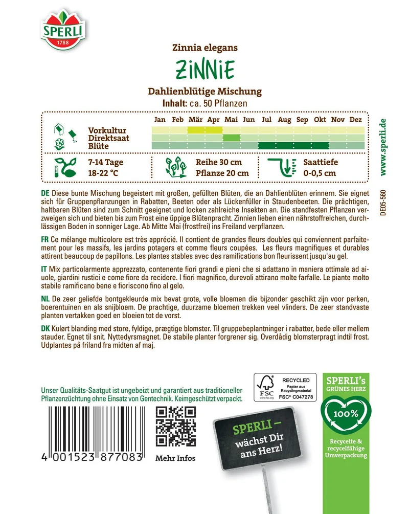 Zinnie Dahlienblütige Mischung