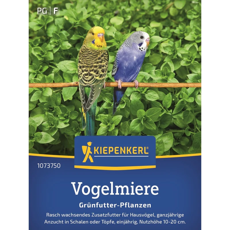 Kiepenkerl Vogelmiere