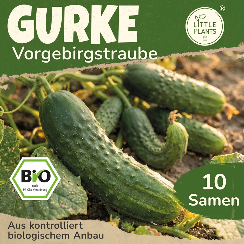 Bio-Gurke (Vorgebirgstraube)