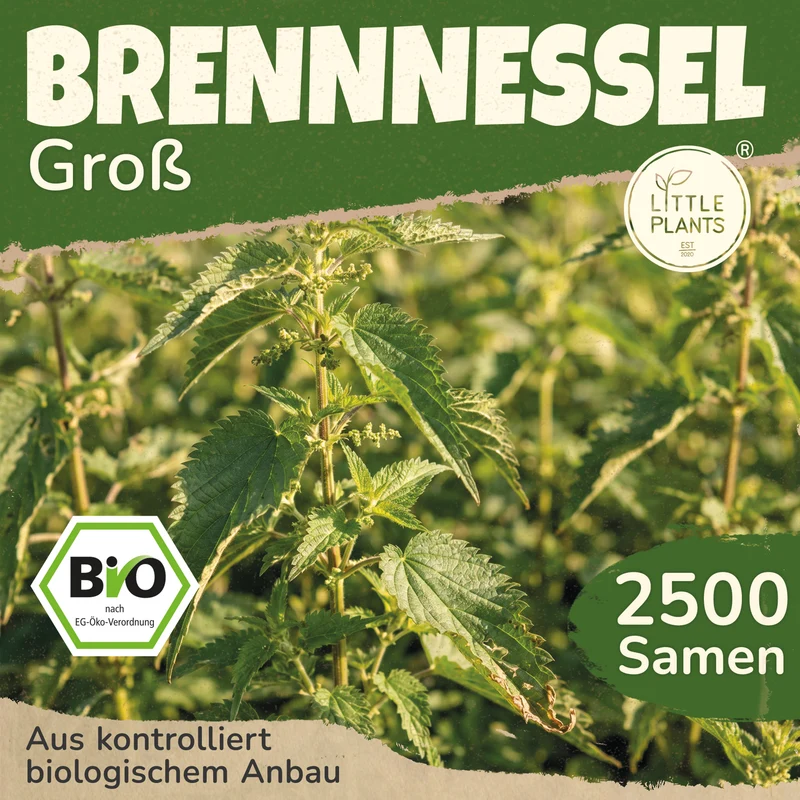 Bio-Brennnessel (Große)
