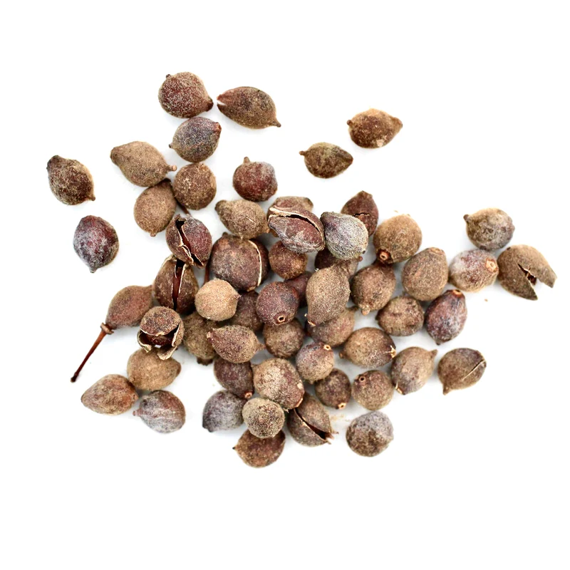 Winterlinde Baum-Pflanz-Set – Tilia cordata selbst pflanzen