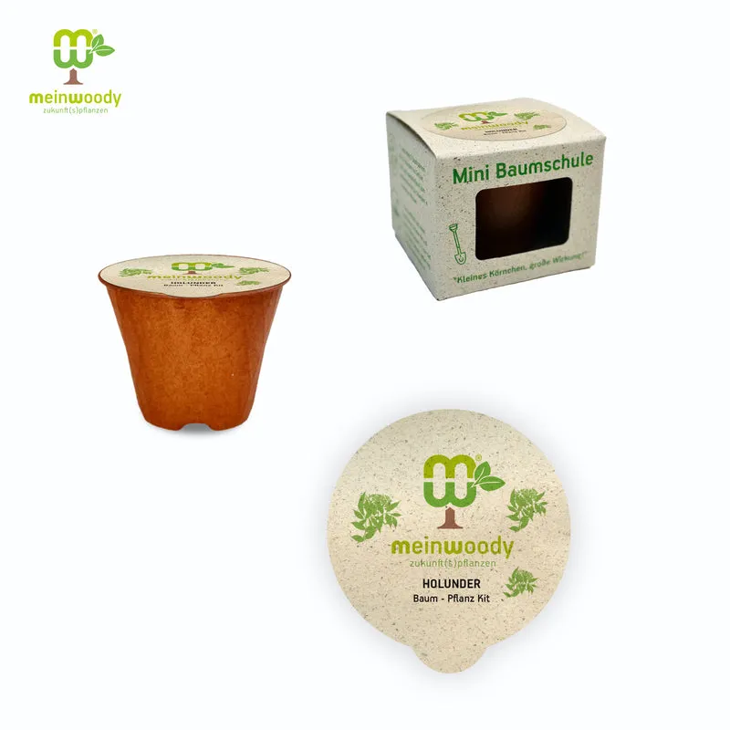 Holunder Baum-Pflanz-Set – Sambucus nigra selbst pflanzen