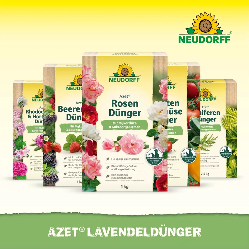 Azet LavendelDünger