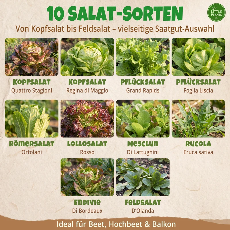 Bio-Salatsamen Set mit 10 Sorten