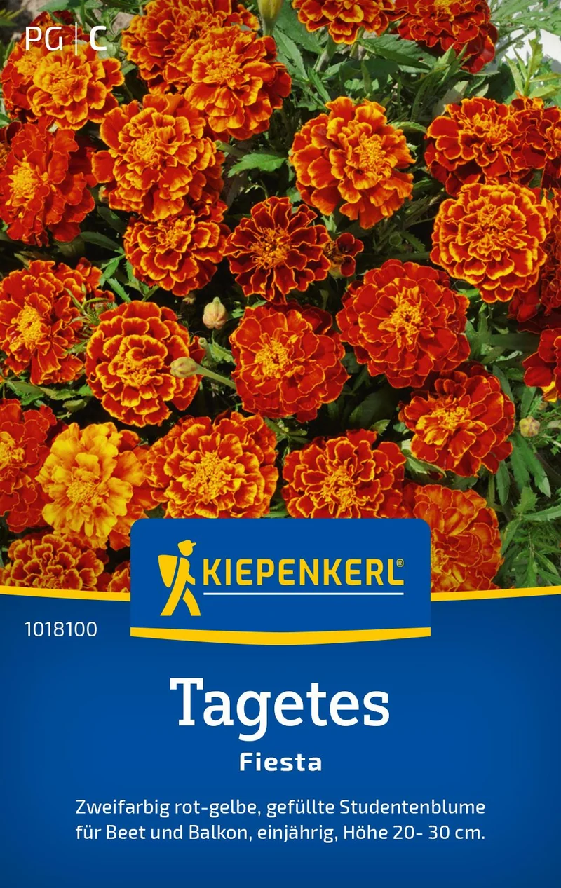 Studentenblumensamen Fiesta