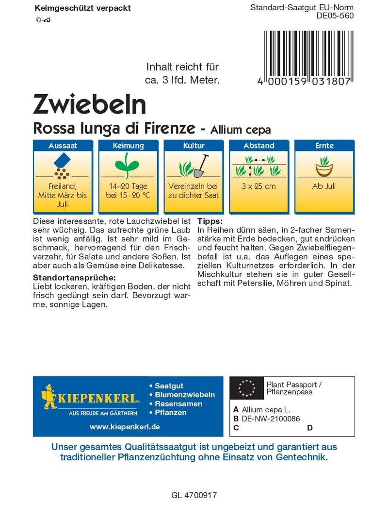 Lauchzwiebel Rossa lunga di Firenze