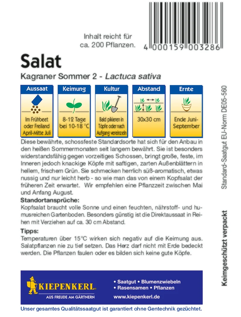 Kopfsalatsamen Kagraner Sommer 2