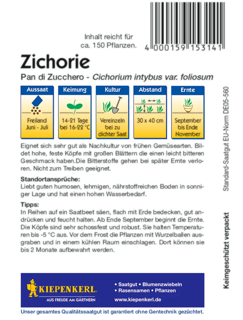 Zichoriensamen Pan di Zucchero / Zuckerhut