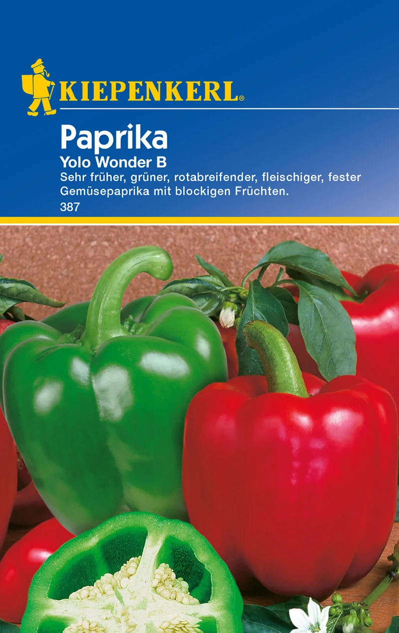 Paprikasamen Yolo Wonder B