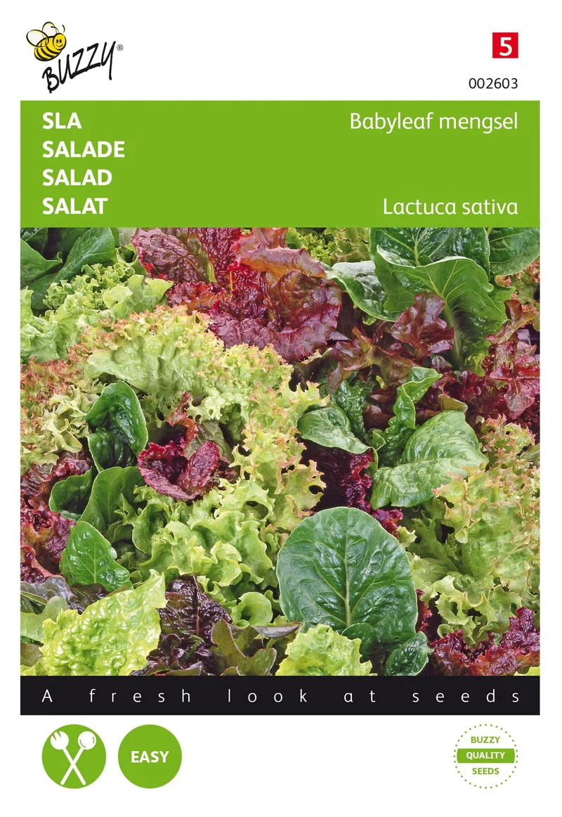 Babyleaf-Salatmischung