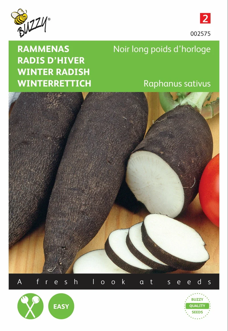 Schwarzer Rettich Noir mit langen Schoten