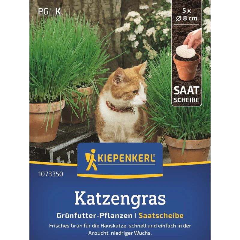 Kiepenkerl Katzengras Frischgrün Mischung, Saatscheibe