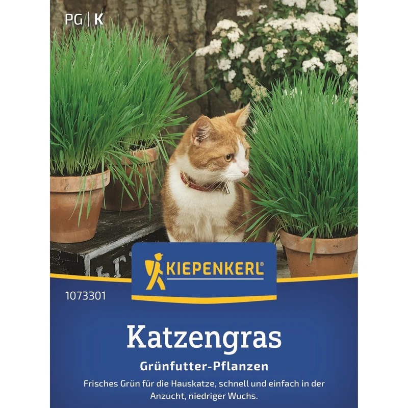 Kiepenkerl Katzengras Frischgrün Mischung