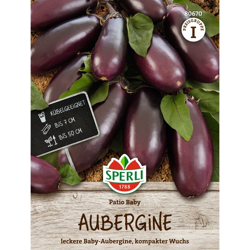 SPERLI Aubergine 'Patio Baby', F1