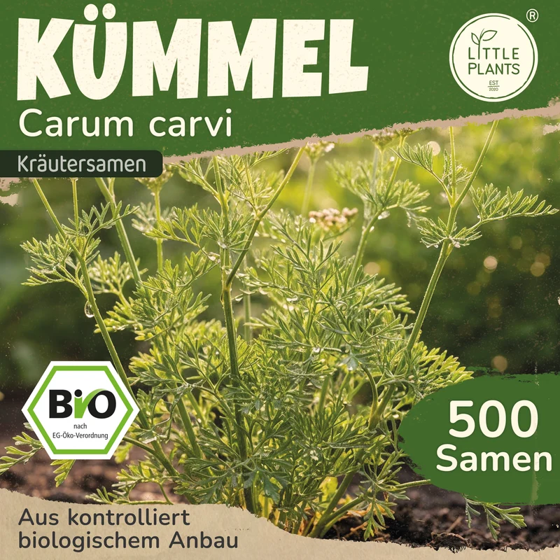 Bio-Kümmel