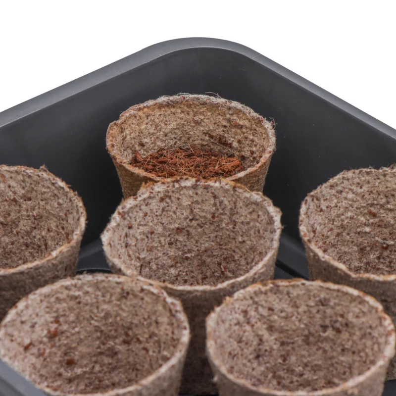 SIENA GARDEN Zimmergewächshaus Maxi-Grow