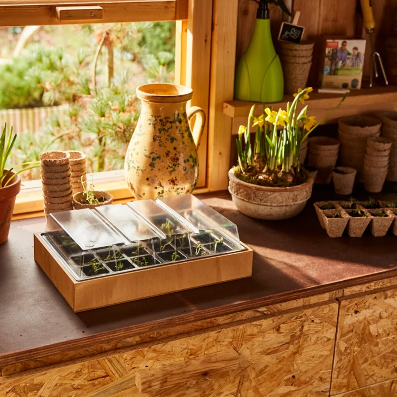SIENA GARDEN Anzuchtkiste inkl. Topfplatte, Holz