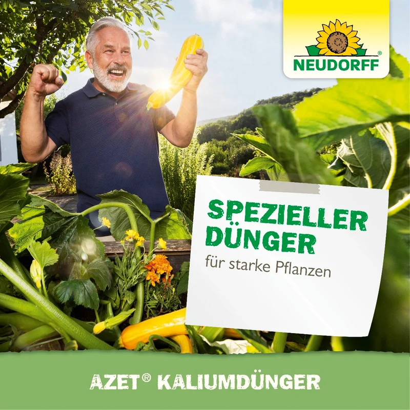 Azet KaliumDünger