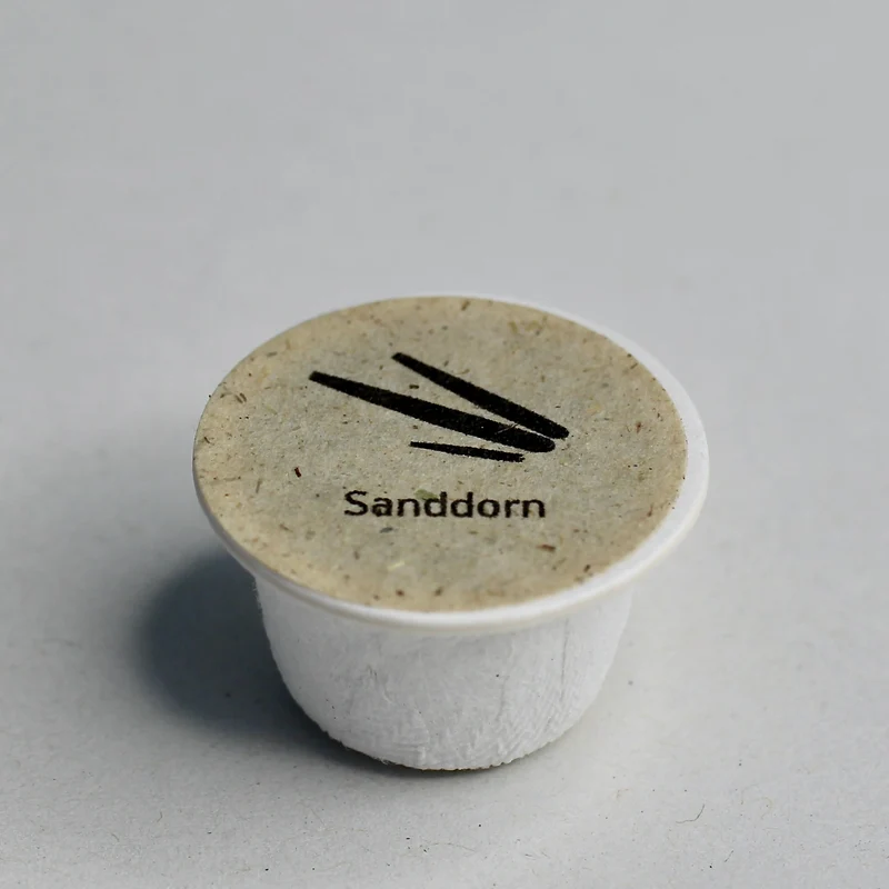 Sanddorn Samen