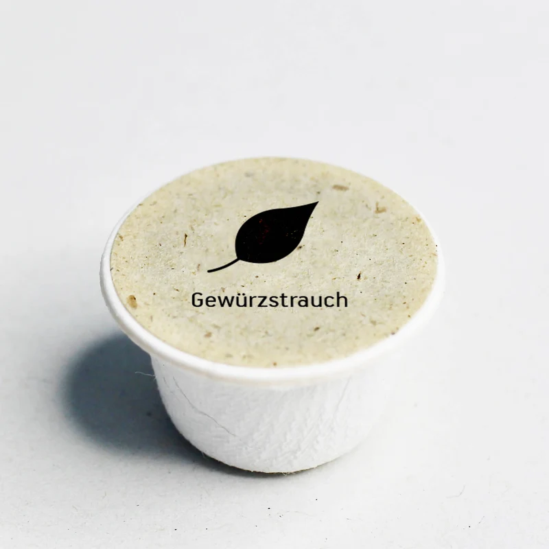 Gewürzstrauch Samen