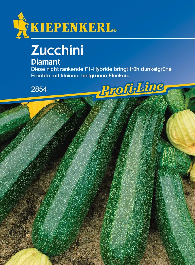 Zucchinisamen Diamant, F1