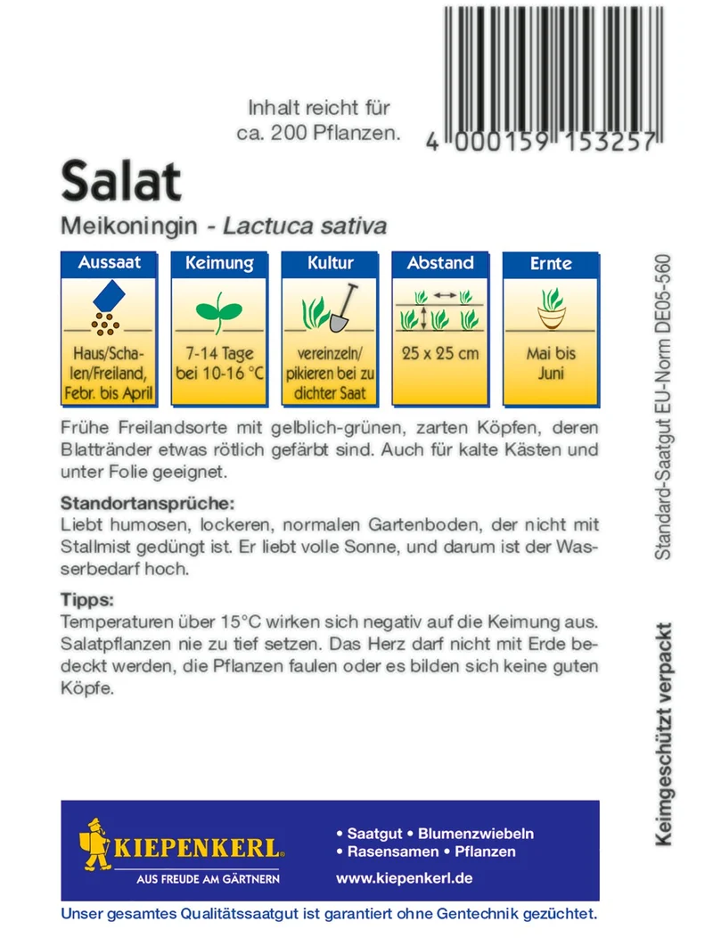 Kopfsalat Meikoningin