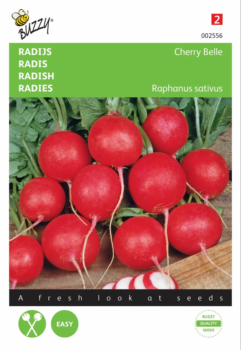 Radieschen-Kirsch-Schönheit