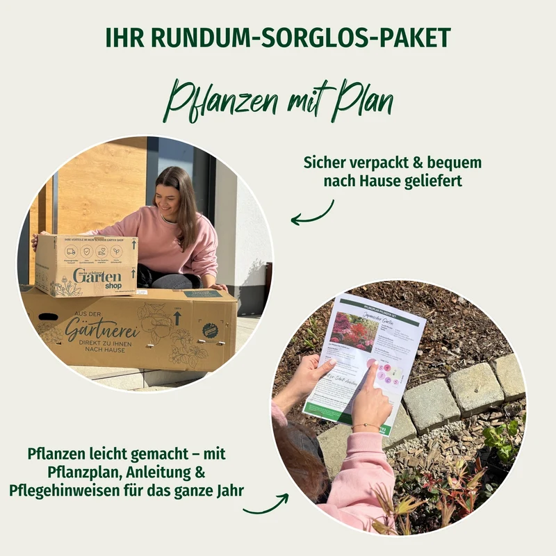 Pflanzen-Set “Vielfalt für halbschattige Gartenecken"