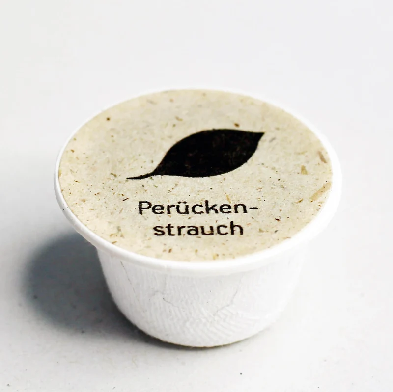 Perückenstrauch Samen