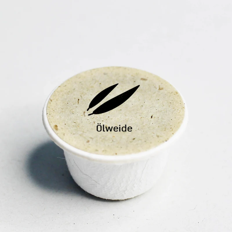 Ölweide Baum-Samen