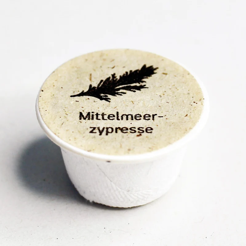 Mittelmeerzypresse Baum-Samen